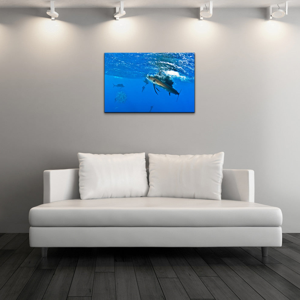Ready2hangart Christopher Doherty Photography 'Sailfish' Canvas Wall Art