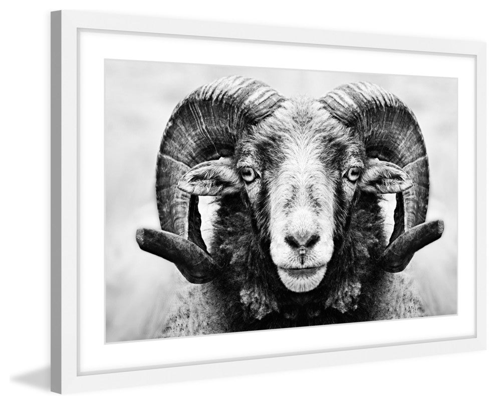 Marmont Hill, "I Dare You Ram" Framed Painting Print, 24x16
