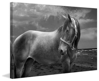 "Back to Your Roots" Print on Canvas by Maggie Dee