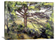 "Great Pine and Red Earth" Artwork, 36"x28"