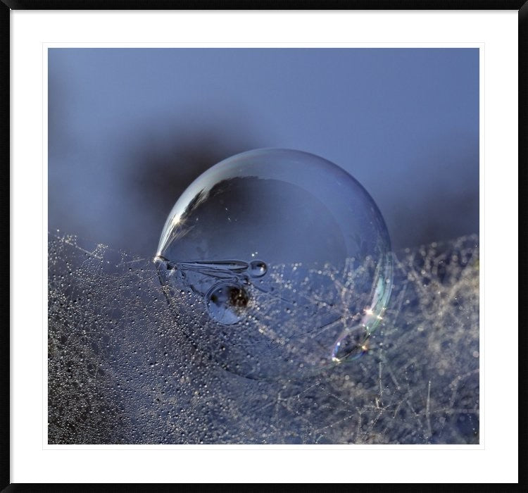 "Blue Bubble Morning" Framed Digital Print by Kent Mathiesen, 44x41"