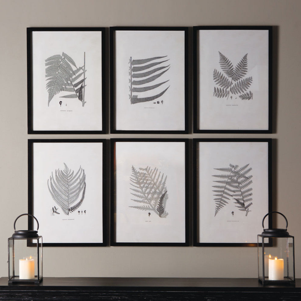 6-Piece Framed Gray-Tone Fern Print Set