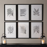 6-Piece Framed Gray-Tone Fern Print Set