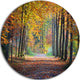 Wide Pathway In Yellow Fall Forest, Landscape Round Metal Wall Art, 11"