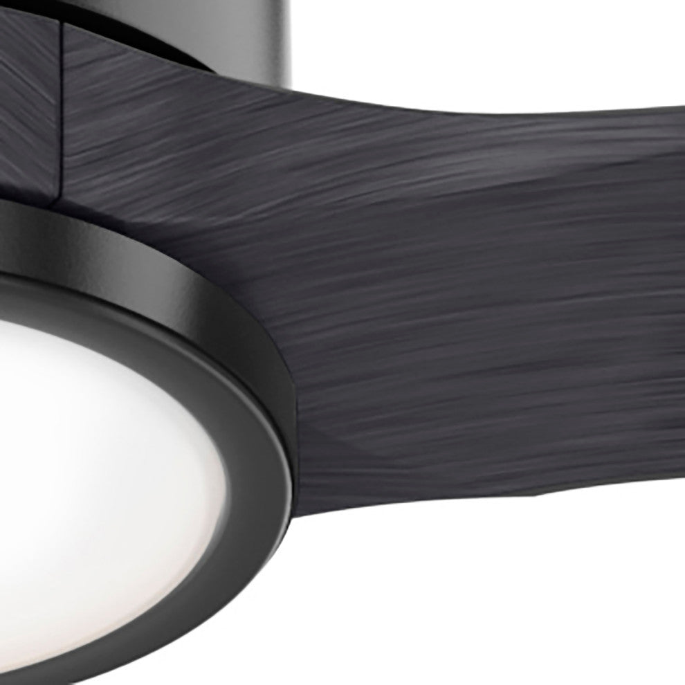 Hunter 52" Park View Matte Black Damp Ceiling Fan With LED Light Kit and Remote