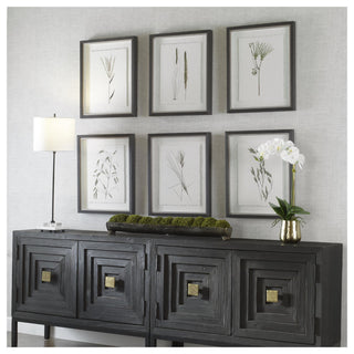 Uttermost 41459 Forest Finds 22" x 18" Framed Botanical Graphic - Multicolored