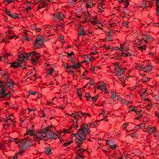 Safavieh Shag Sg951E Rug, Red/Multi, 2'3"x11'0" Runner