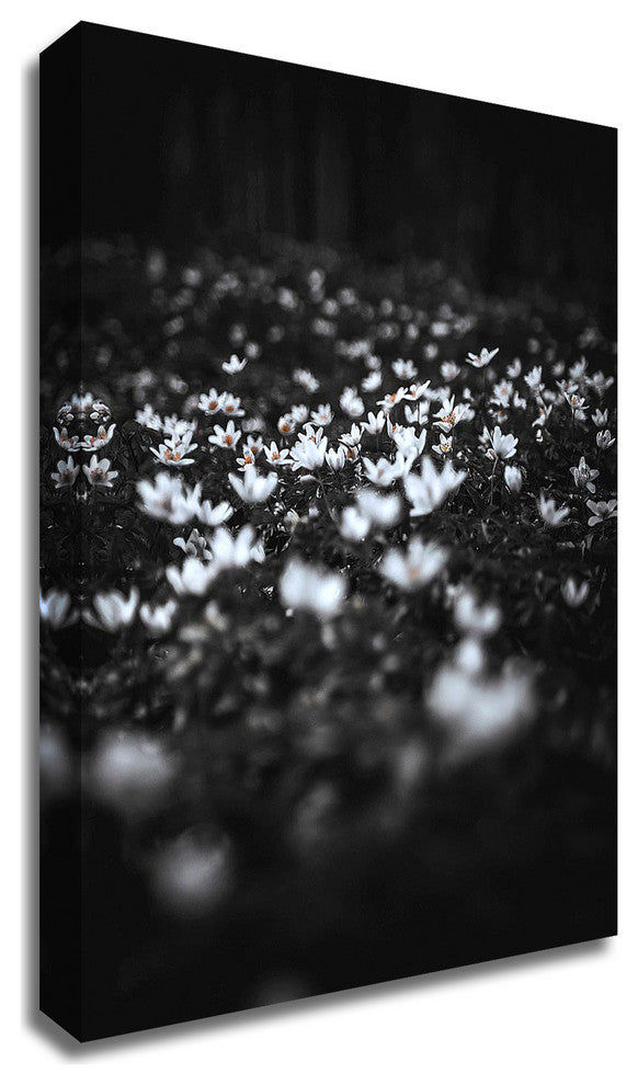 Windflowers by Design Fabrikken, Print on Canvas, 20"x28"