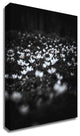 Windflowers by Design Fabrikken, Print on Canvas, 20"x28"