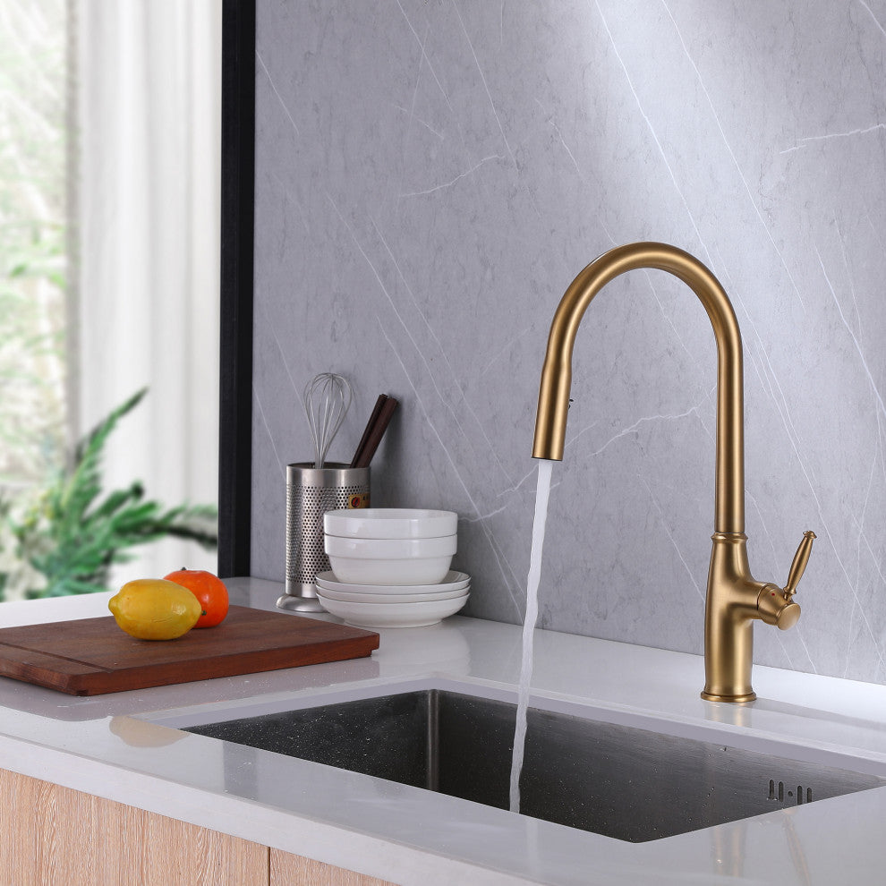 Dual-Function Pull Out Kitchen Faucet With Single Handle and Swivel Spout