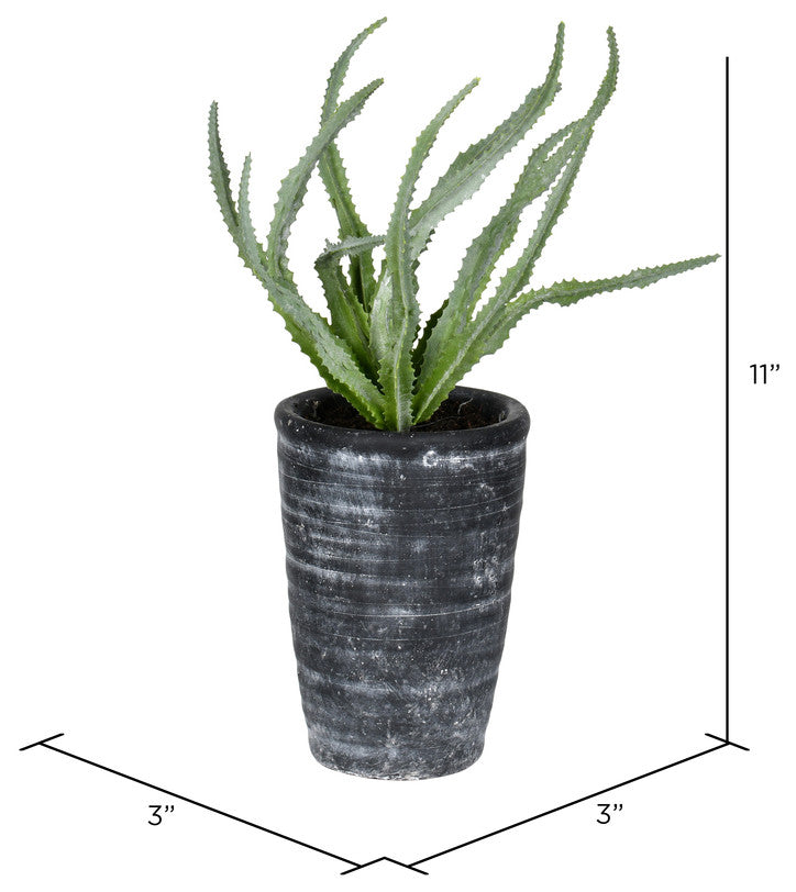 Vickerman Fv192011 11" Artificial Green Gray Potted Haworthia
