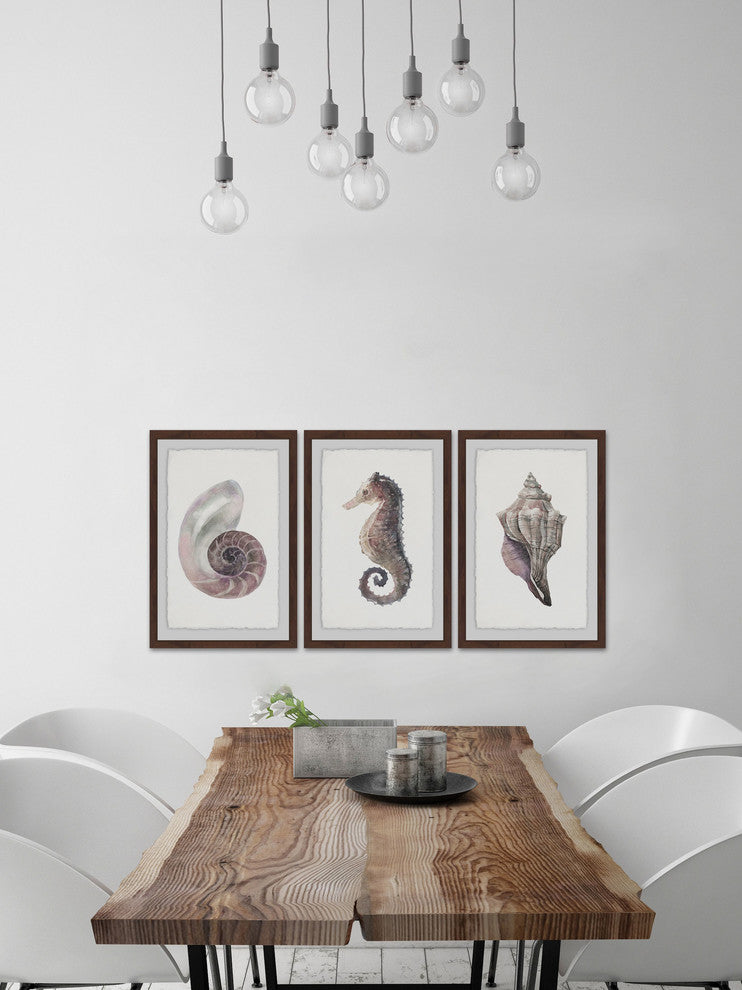 "Sea Stuff Triptych" Framed Painting Prints, 36"x18", 3-Piece Set