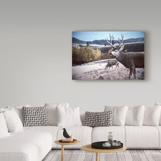 Ron Parker 'Mule Deer In Aspen' Canvas Art, 32"x22"