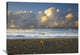 "Beach And Waves, Corcovado National Park, Costa Rica" Artwork, 40" x 30"