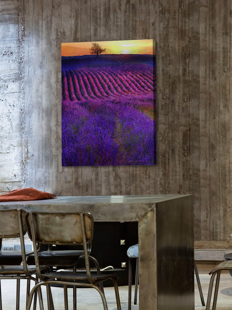 "High Summer Lavenders" Painting Print on Canvas by Chris Vest