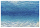 "Underwater I" Digital Paper Print by James Wiens, 26"x18"