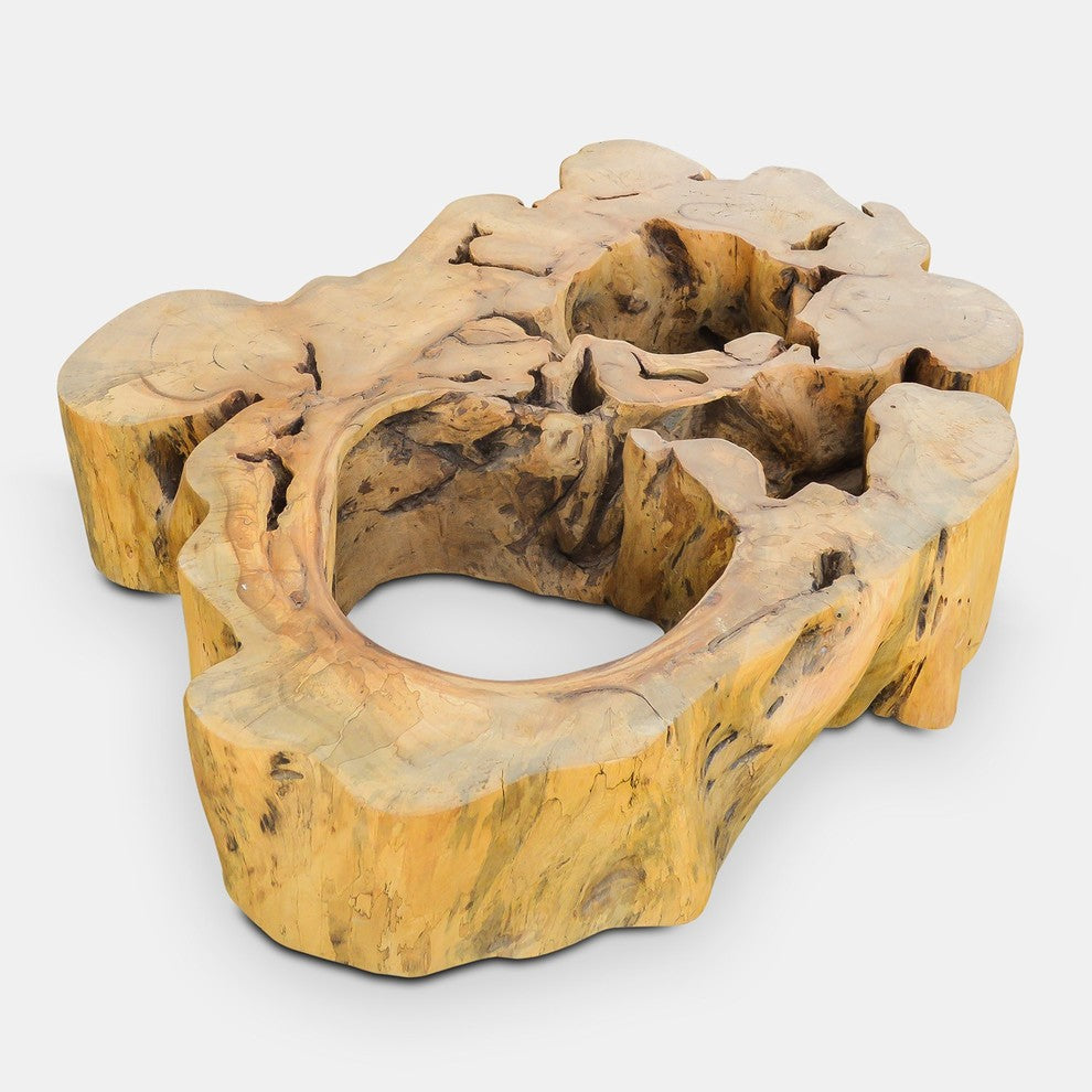 Ficus Wood Coffee Table Base