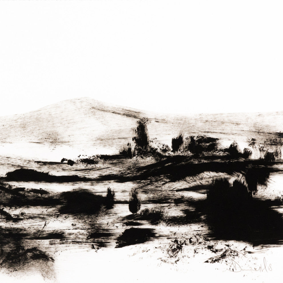 Mono Land By Dan Hobday