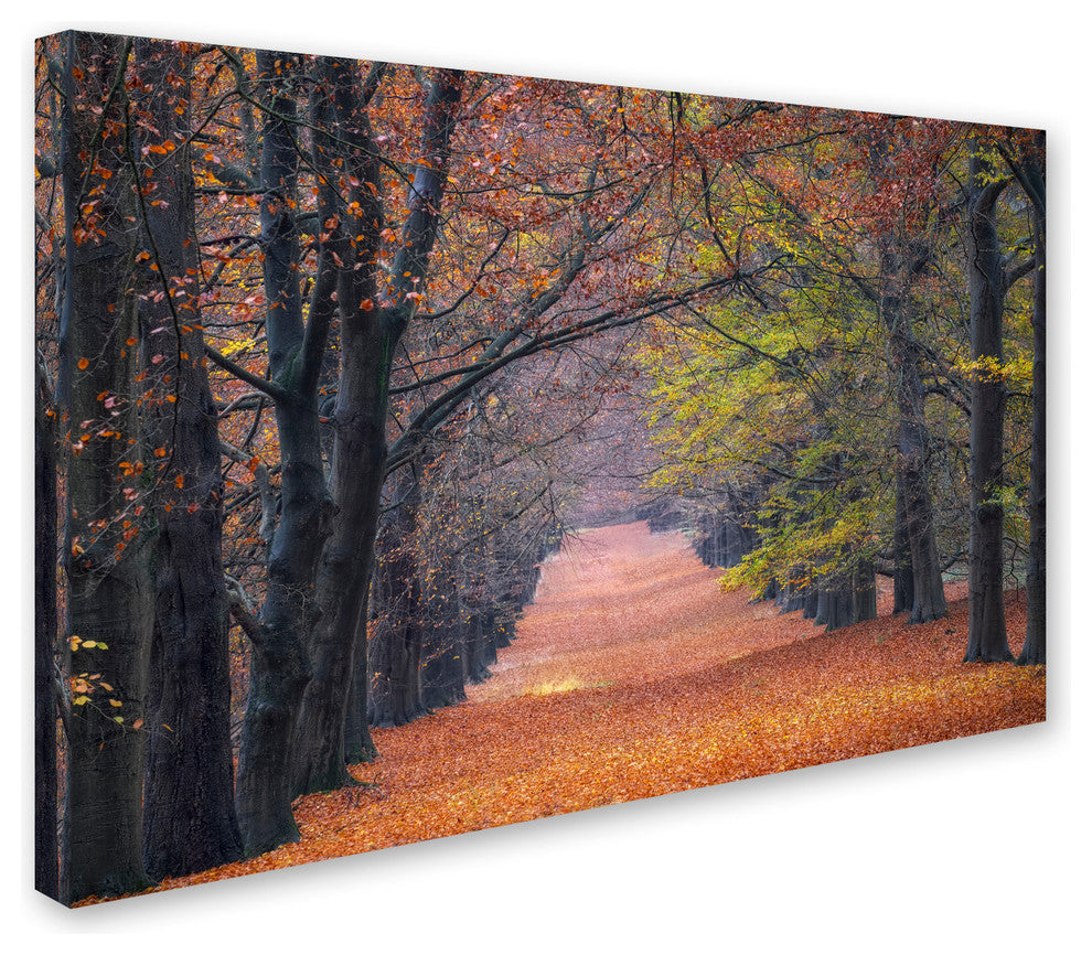 Cora Niele 'Beech Lane' Canvas Art