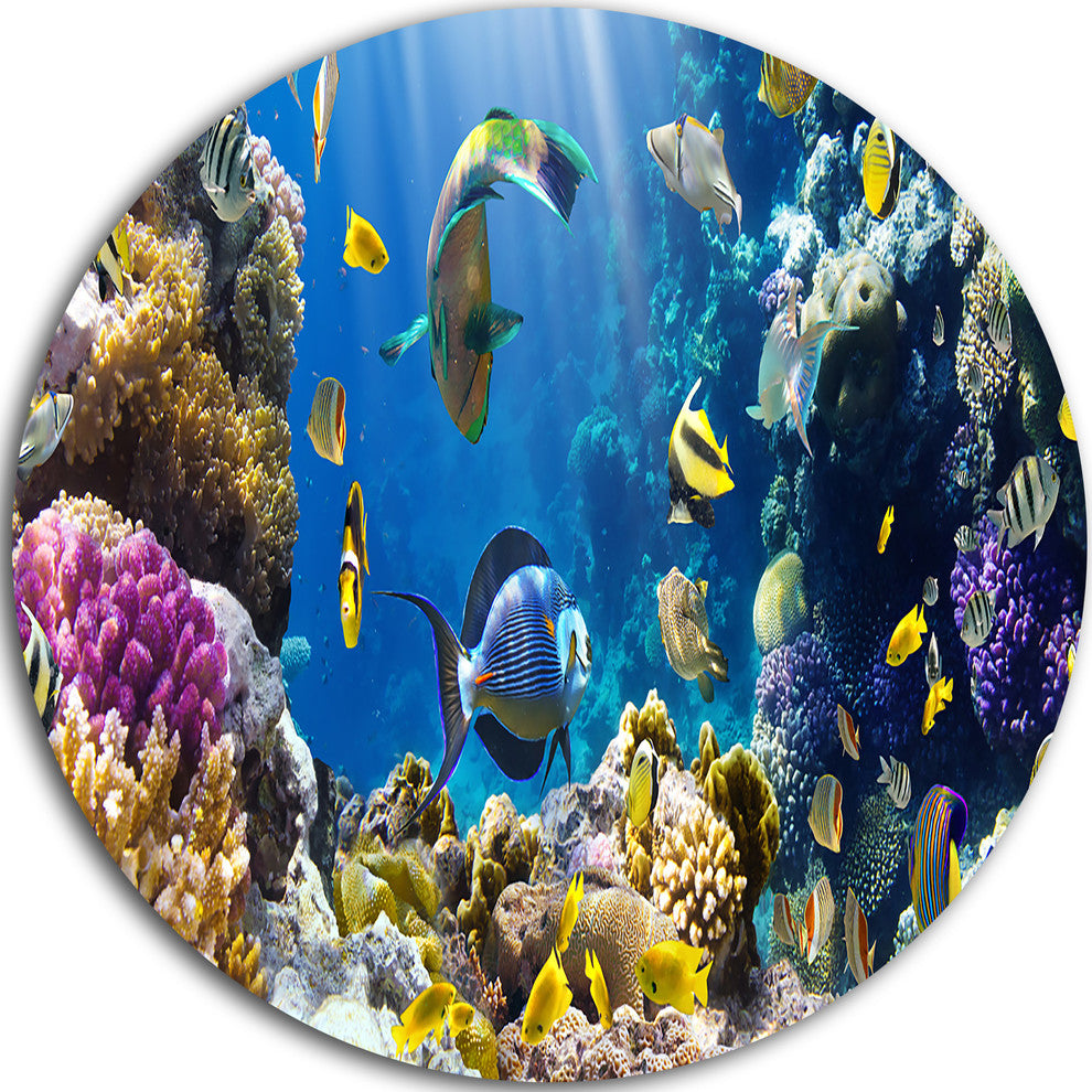 Fish In Coral Reef, Seascape Photography Round Wall Art, 23"