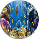 Fish In Coral Reef, Seascape Photography Round Wall Art, 23"