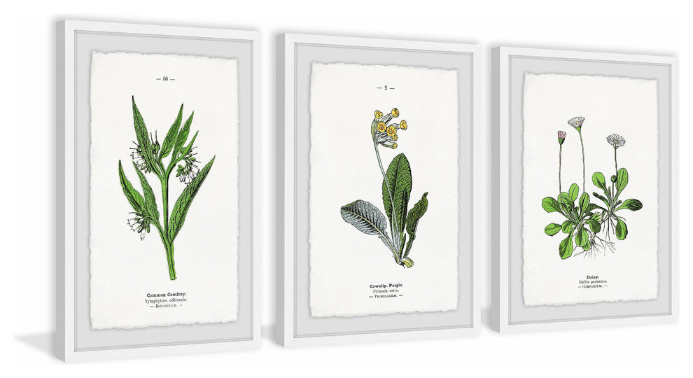 "Pulsatilla Flowers Triptych" Framed Prints, 12"x18", 3-Piece Set