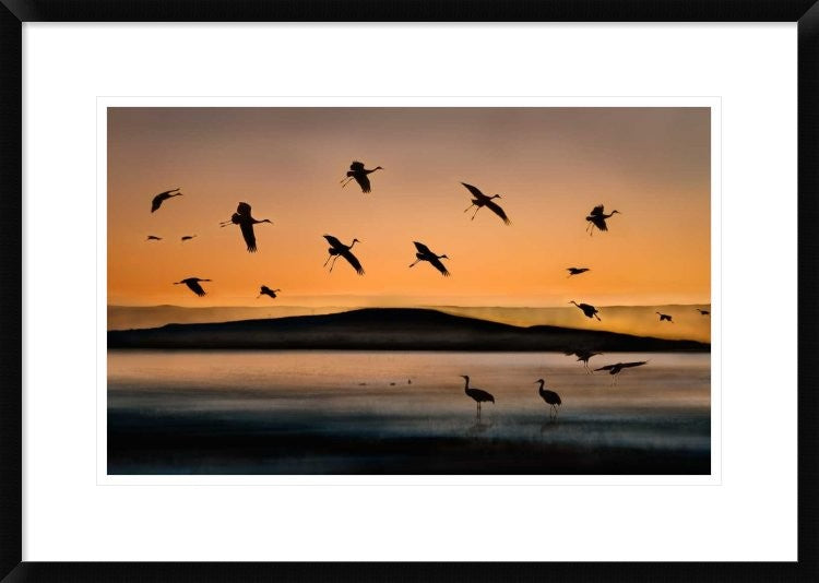 "Fly-In At Sunset" Framed Digital Print by Shenshen Dou, 30x21"
