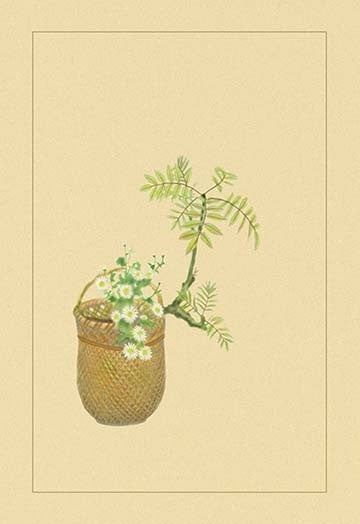 Japanese Peppers - Canvas Poster 20" x 30"