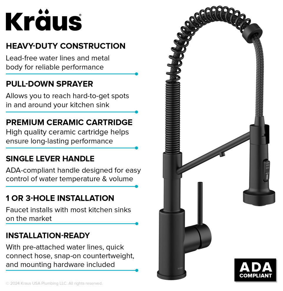 Bolden Commercial Style 2-Function Pull-Down 1-Handle 1-Hole Kitchen Faucet, Matte Black (Filter Kitchen Faucet)