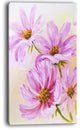 "Blooming Pink Cosmos Flowers" Canvas Print, 20"x40"