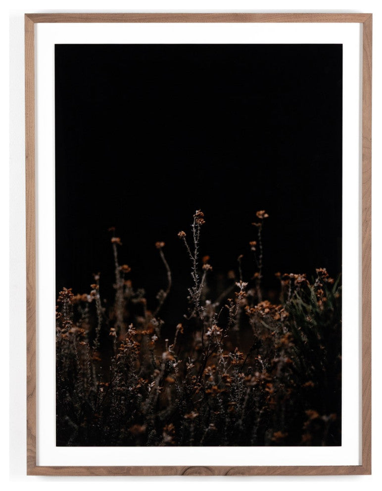 Escape I By Annie Spratt