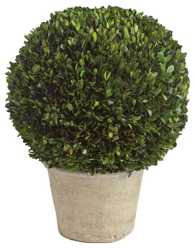 Elegant 16 in Ball Topiary in Pot Preserved Boxwood Greenery Faux Floral English