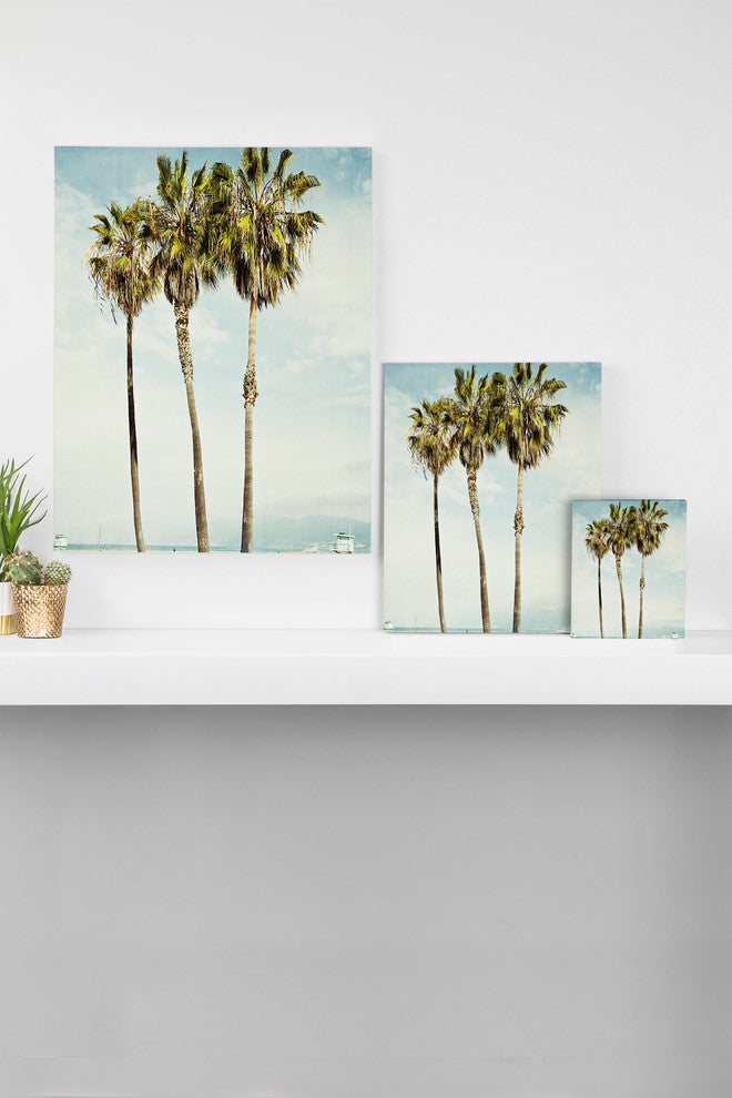 Deny Designs Bree Madden Venice Beach Palms Art Canvas