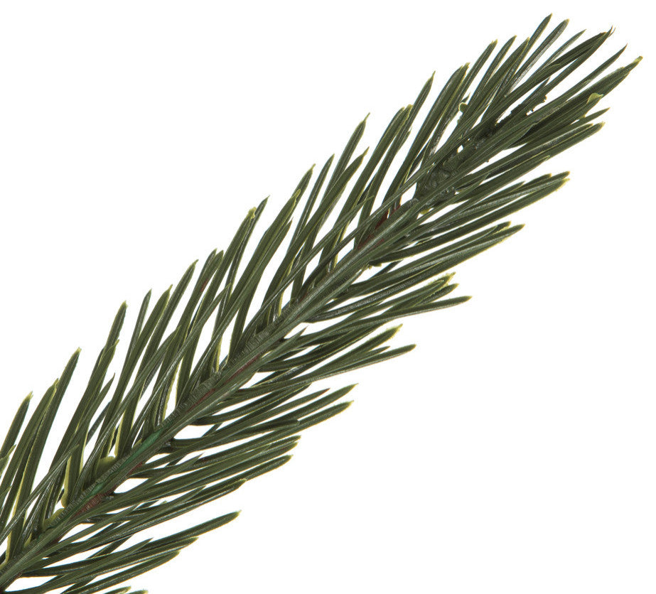 Vickerman 36-42-48" Green Spruce Tops 3-Piece Set