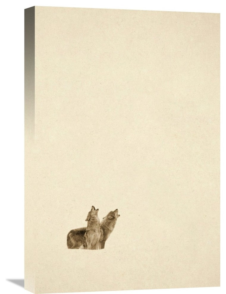 "Timber Wolf Pair Howling In Snow, North America - Sepia" Artwork, 16" x 24"