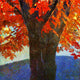 "Brilliant Fall Maple I" Painting Print on Canvas by Chris Vest