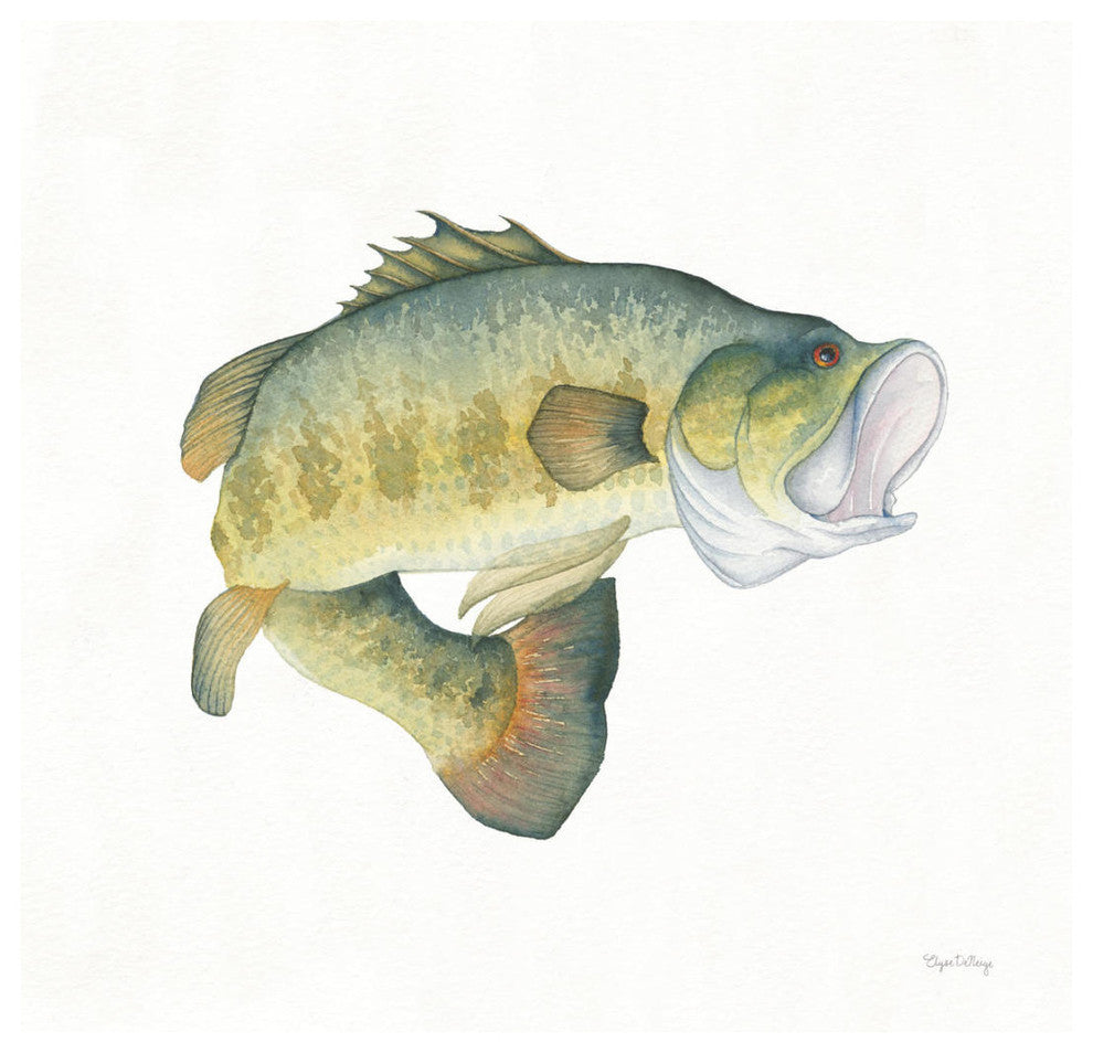 "Gone Fishin Large Mouth" Digital Paper Print by Elyse DeNeige, 20"x20"