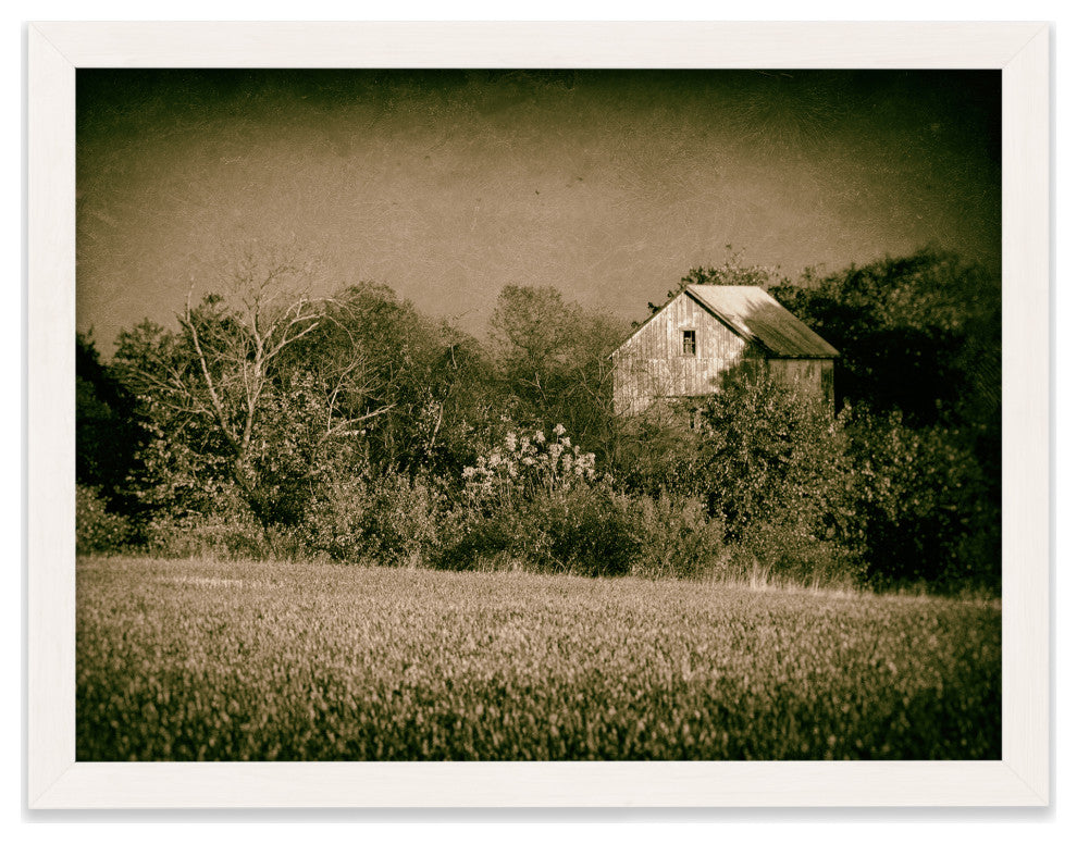 Abandoned Barn In The Trees Vintage Framed Photo Paper Wall Art Prints, White, 16" X 20"