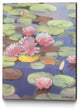 "Passion In Pink" Museum Mounted Canvas Print, 24"x32"