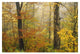 "Mixed deciduous forest in autumn, Mill Brook, Vermont" Paper Art, 26"x18"