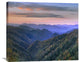 "Deciduous Forest, Great Smoky Mountains N.P., North Carolina" Artwork