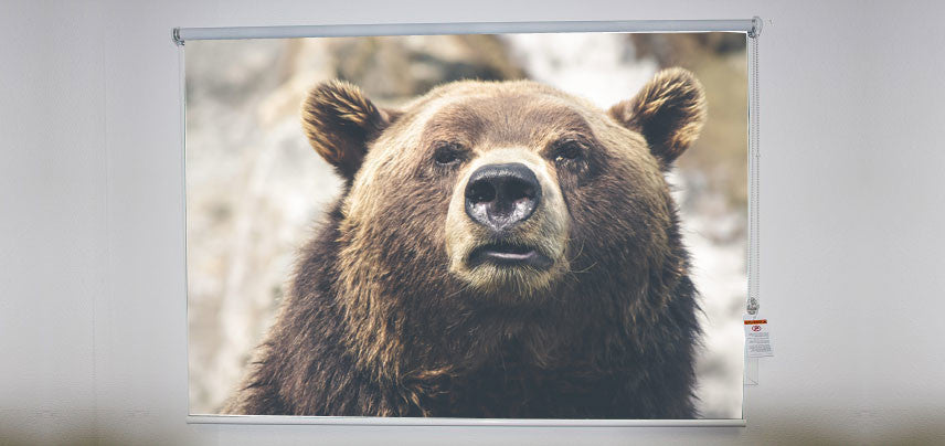 "Bear" Artwork, 6' Shade, Blackout, Right