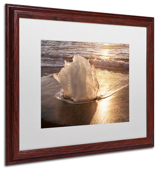 Michael Blanchette Photography 'Ice Tulip' Art, Wood Frame, White Matte, 20"x16"