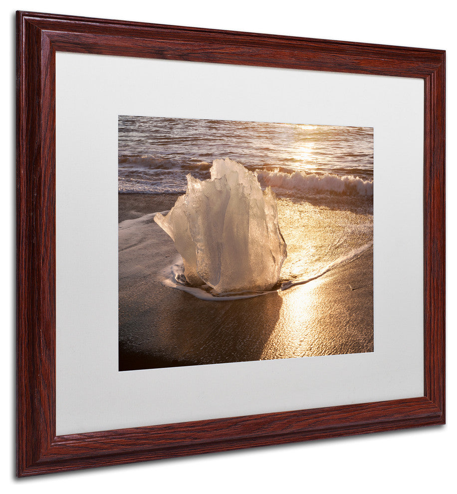 Michael Blanchette Photography 'Ice Tulip' Art, Wood Frame, White Matte, 20"x16"