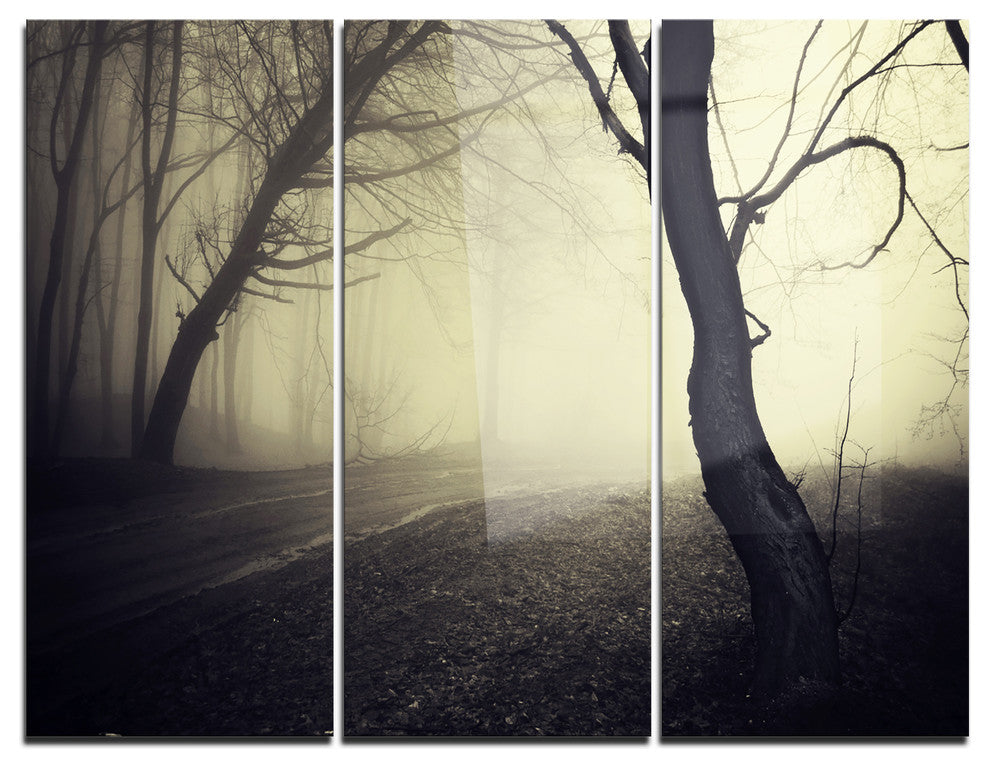 "Old Looking Fall Forest Shoot" Photo Metal Wall Art, 3 Panels, 36"x28"
