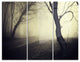 "Old Looking Fall Forest Shoot" Photo Metal Wall Art, 3 Panels, 36"x28"