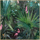 Jungle Sharp, Giclee Reproduction Artwork