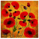 "Poppy Flowers 2" by Ata Alishahi, Canvas Art, 14"x14"