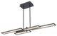 1 Light Contemporary Large Chandeliers, Matte Black