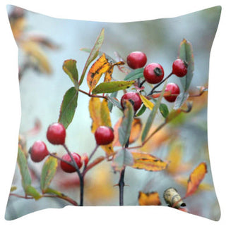 Hawthorn Pillow Cover, 16x16